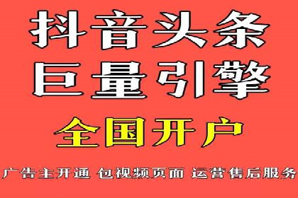 竞价托管与SEO结合的案例分析